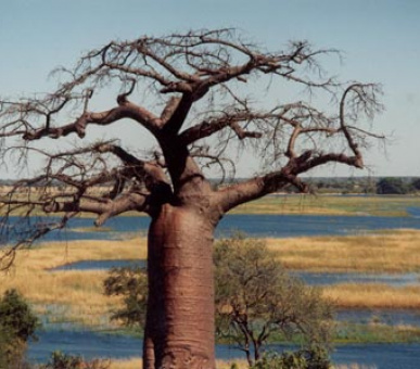 Картинка 2 Фото 2