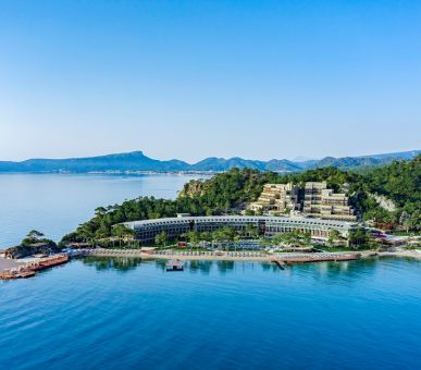 Картинка 1 Фото 1