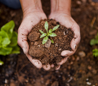 Картинка SHA Wellness Clinic 43 Фото SHA Wellness Clinic 43