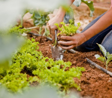 Картинка SHA Wellness Clinic 42 Фото SHA Wellness Clinic 42