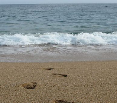 Фото Rigat Park (Испания, Коста Брава) 12