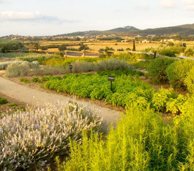 Фото Mas de Torrent (Испания, Коста Брава) 12