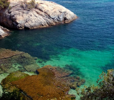 Фото Salles Hotel & Spa Cala del Pi (Испания, Коста Брава) 18