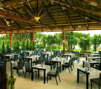 Фото Gran Melia Don Pepe (Испания, Коста дель Соль, Marbella) 20