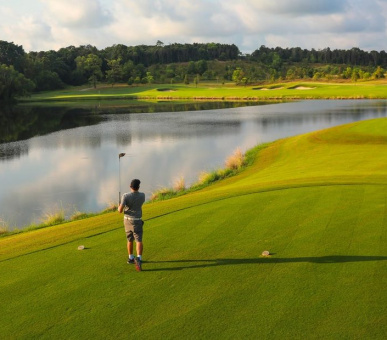 Картинка One 8 Фото One 8