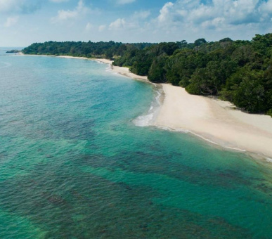 Картинка One 12 Фото One 12