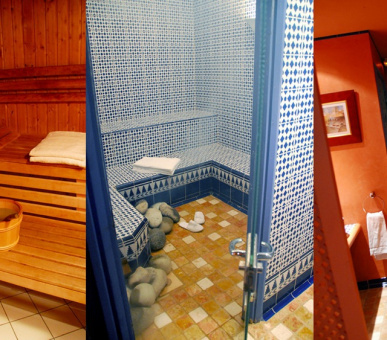 Фото Alpes Hotel du Pralong (Франция, Куршевель) 22