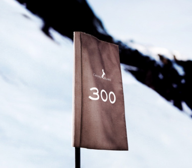 Фото Cheval Blanc (Франция, Куршевель) 19