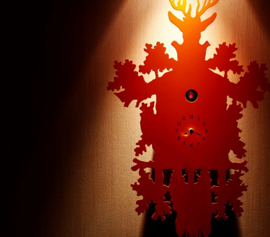 Фото Cheval Blanc (Франция, Куршевель) 7