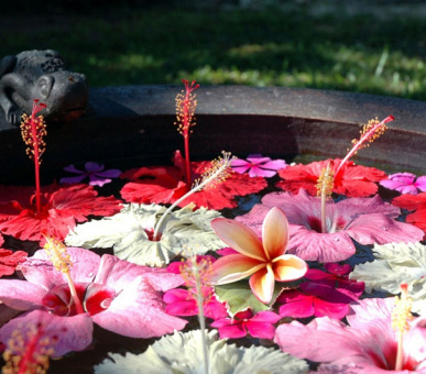 Фото Le Domaine de l'Orangeraie (Сейшельские острова, о. Ла Диг) 16