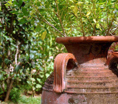 Фото Le Domaine de l'Orangeraie (Сейшельские острова, о. Ла Диг) 14