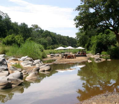 Картинка Makalali Private Game Reserve (ЮАР, Лимпопо) 9 Фото Makalali Private Game Reserve (ЮАР, Лимпопо) 9