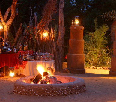 Картинка Makalali Private Game Reserve (ЮАР, Лимпопо) 8 Фото Makalali Private Game Reserve (ЮАР, Лимпопо) 8