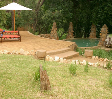 Картинка Makalali Private Game Reserve (ЮАР, Лимпопо) 10 Фото Makalali Private Game Reserve (ЮАР, Лимпопо) 10