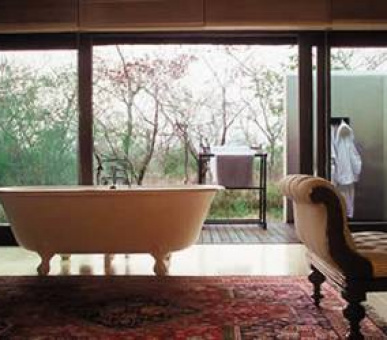 Картинка 4 Фото 4