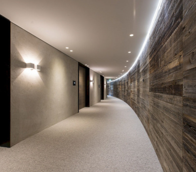 Фото Elisabeth Hotel (Австрия, Майерхофен) 8