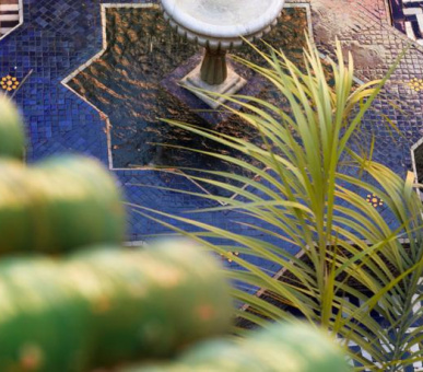 Картинка Palmeraie Golf Palace 13 Фото Palmeraie Golf Palace 13