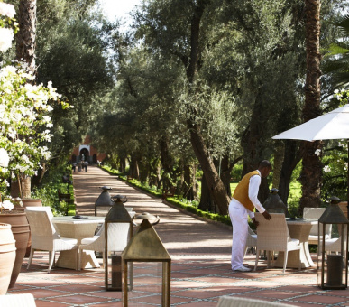 Фото La Mamounia (Марокко, Марракеш) 19