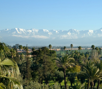 Фото La Mamounia (Марокко, Марракеш) 9