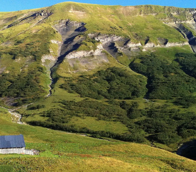Картинка Les Fermes De Marie (Франция, Межев) 13 Фото Les Fermes De Marie (Франция, Межев) 13