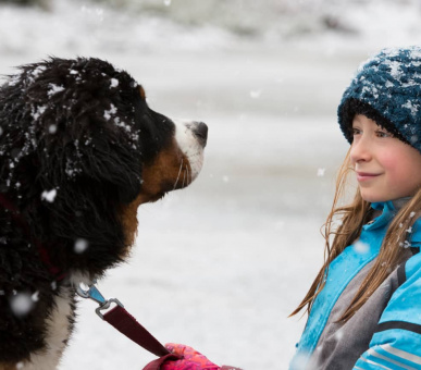 Картинка Les Chalets du Mont d’Arbois, Meg?ve, A Four Seasons Hotel 16 Фото Les Chalets du Mont d’Arbois, Meg?ve, A Four Seasons Hotel 16