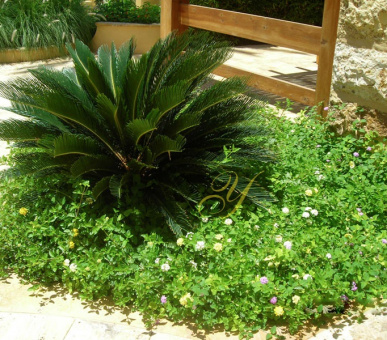 Картинка Kempinski Hotel Ishtar 18 Фото Kempinski Hotel Ishtar 18