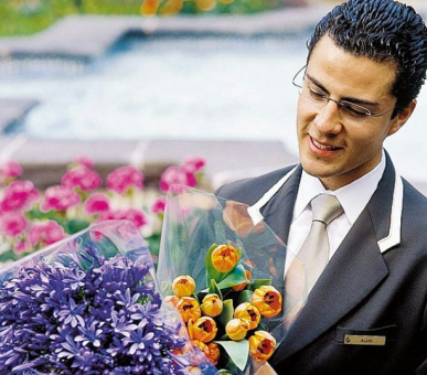 Картинка Four Seasons Hotel Mexico D.F. (Мексика, Мехико) 7 Фото Four Seasons Hotel Mexico D.F. (Мексика, Мехико) 7