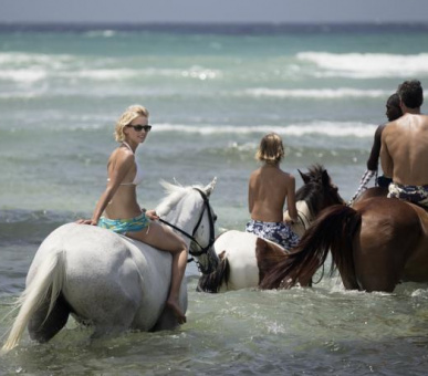 Фото Half Moon - A RockResort (Ямайка, Монтего Бей) 3