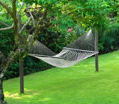 Картинка Round Hill Hotel 33 Фото Round Hill Hotel 33