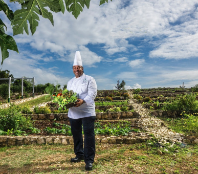 Картинка Round Hill Hotel 21 Фото Round Hill Hotel 21