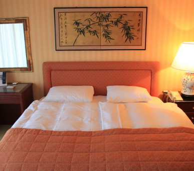 Фото Royal Plaza (Швейцария, Монтре) 15