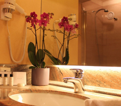 Фото Royal Plaza (Швейцария, Монтре) 24