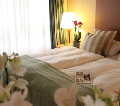 Фото Royal Plaza (Швейцария, Монтре) 17