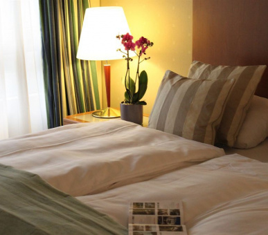 Фото Royal Plaza (Швейцария, Монтре) 7