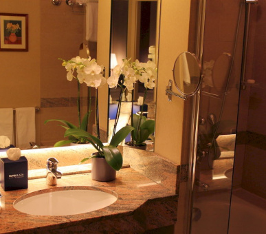 Фото Royal Plaza (Швейцария, Монтре) 26