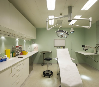 Картинка 35 Фото 35