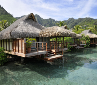 Картинка InterContinental Resort 7 Фото InterContinental Resort 7