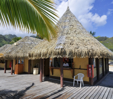 Картинка InterContinental Resort 29 Фото InterContinental Resort 29