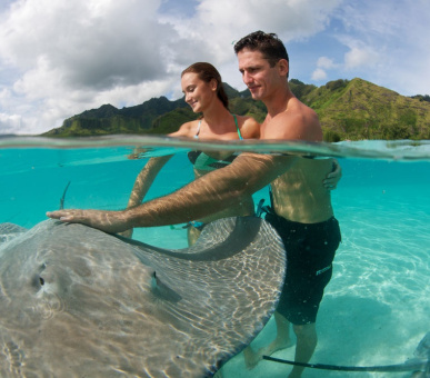 Картинка InterContinental Resort 44 Фото InterContinental Resort 44