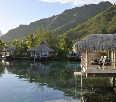 Картинка InterContinental Resort 10 Фото InterContinental Resort 10