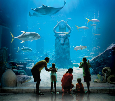 Картинка Atlantis Paradise Island Resort (Багамские острова, Нассау, о. Парадиз, о. Нью-Провиденс) 47 Фото Atlantis Paradise Island Resort (Багамские острова, Нассау, о. Парадиз, о. Нью-Провиденс) 47