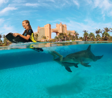 Картинка Atlantis Paradise Island Resort (Багамские острова, Нассау, о. Парадиз, о. Нью-Провиденс) 19 Фото Atlantis Paradise Island Resort (Багамские острова, Нассау, о. Парадиз, о. Нью-Провиденс) 19