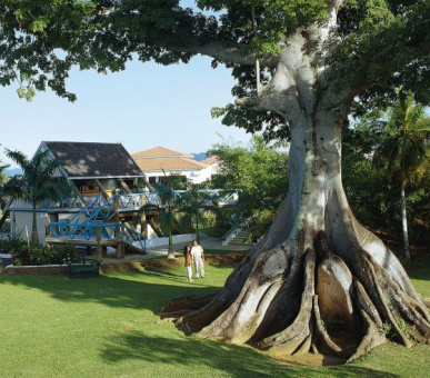 Картинка 2 Фото 2