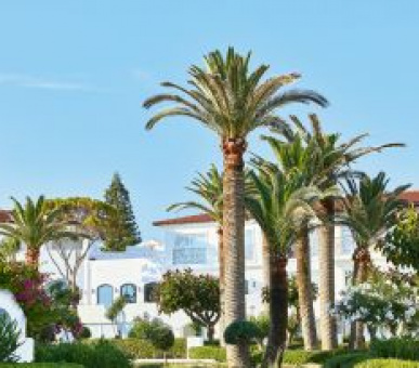 Картинка 3 Фото 3