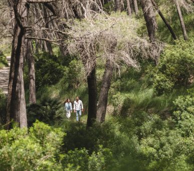 Картинка 11 Фото 11