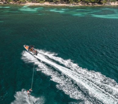 Картинка 12 Фото 12