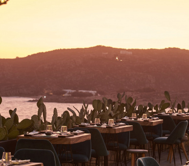 Картинка 12 Фото 12