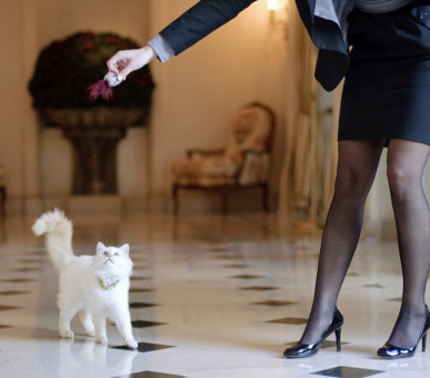 Фото Le Bristol Palace (Франция, Париж) 13