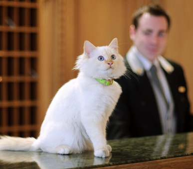 Фото Le Bristol Palace (Франция, Париж) 14