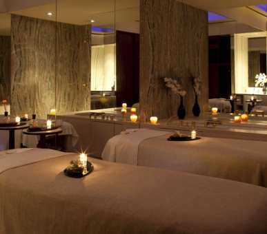 Фото Park Hyatt Paris-Vendome Palace (Франция, Париж) 18